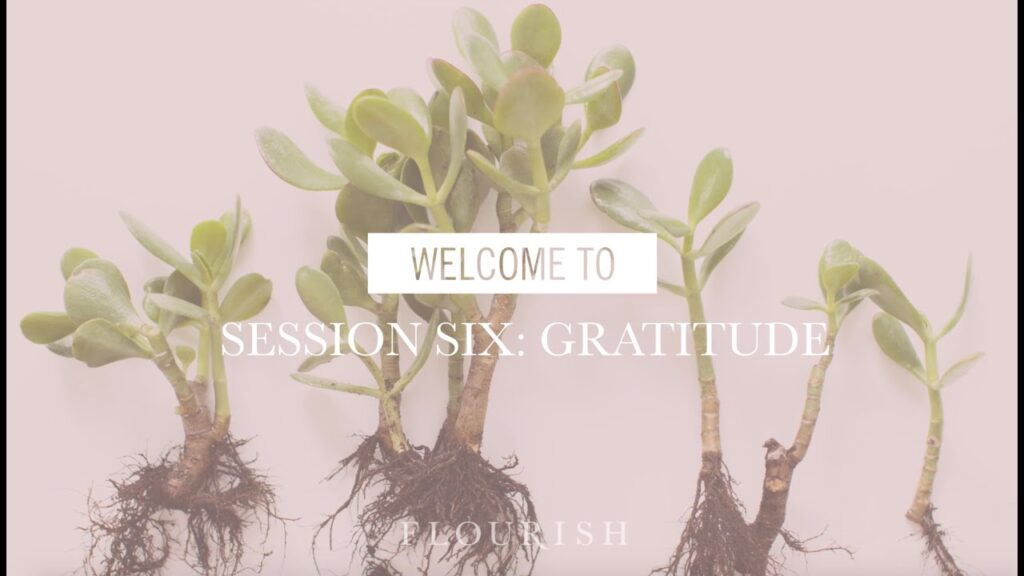 Welcome to Session Six: Gratitude